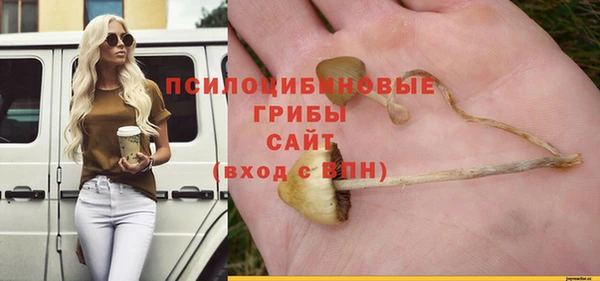 гашиш Богородицк