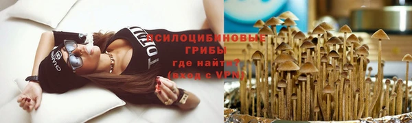 гашиш Богородицк