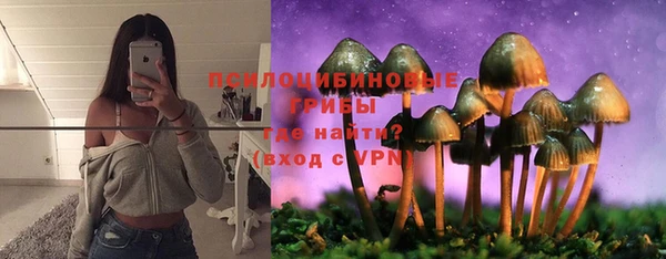 прущие крисы Богданович